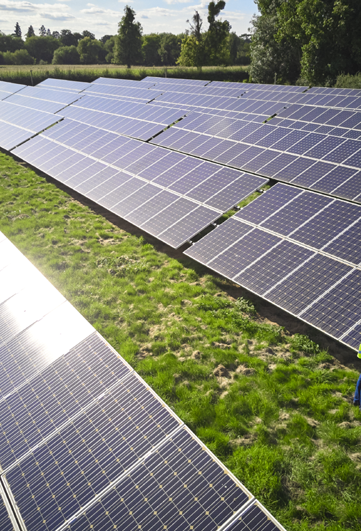 Women with Solar Panel